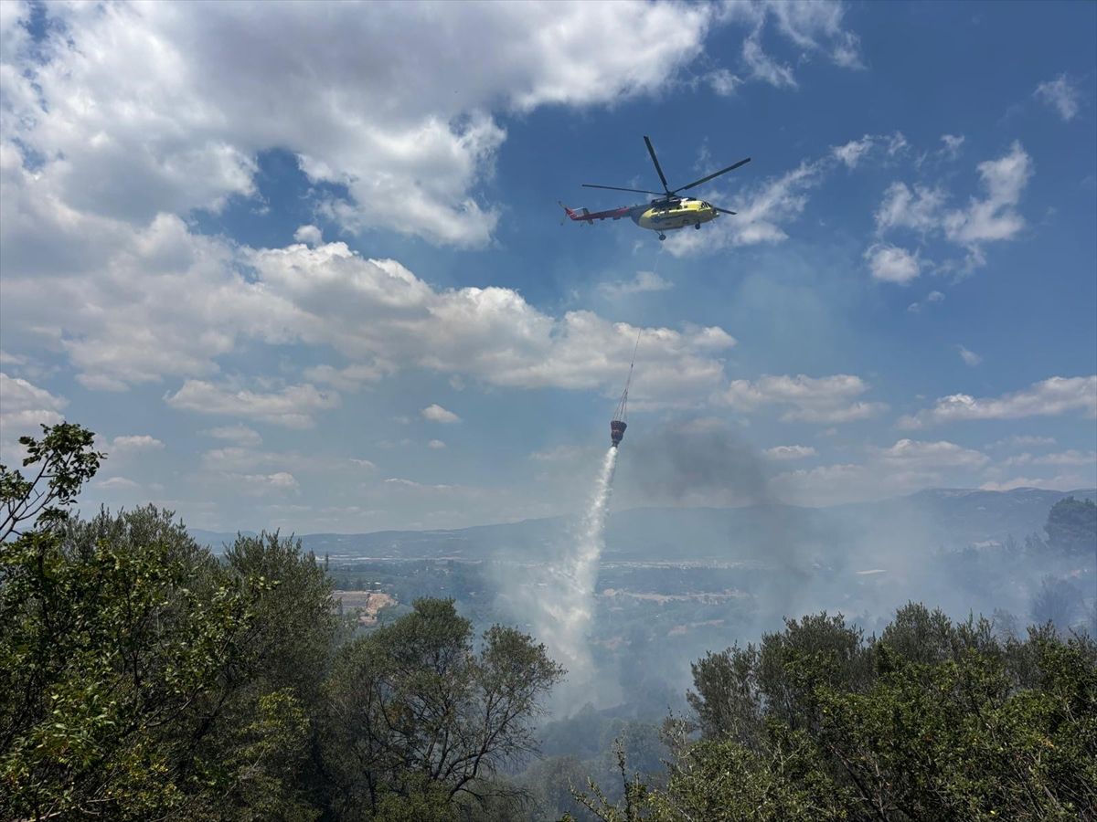 İzmir'in Kemalpaşa ilçesinde zeytinlik alana sıçrayan yangın söndürme çalışmaları.