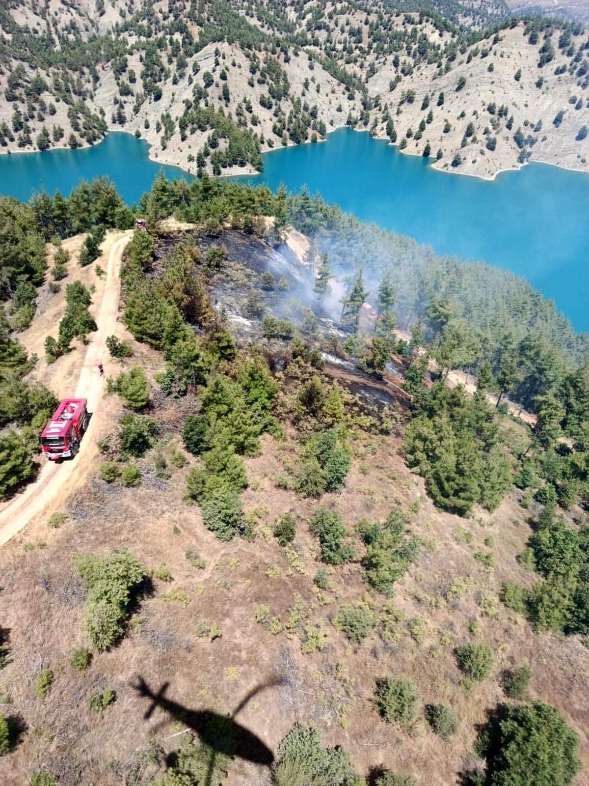 Kahramanmaraş'ta orman yangını