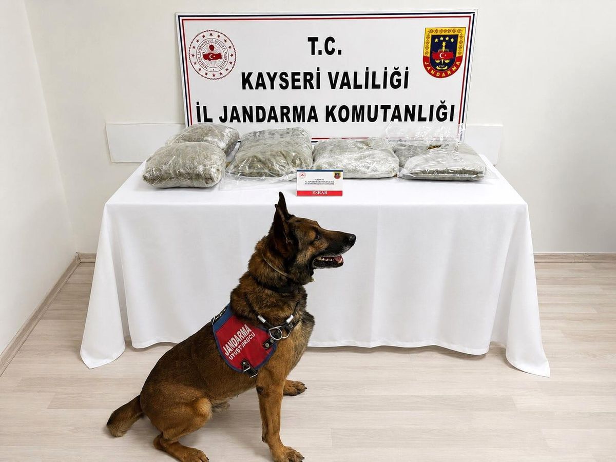 Kayseri'de jandarma tarafından durdurulan araçta uyuşturucu maddeler ele geçirildi.