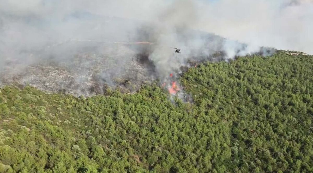 Muğla Milas'ta orman yangınına havadan ve karadan müdahale ediliyor.