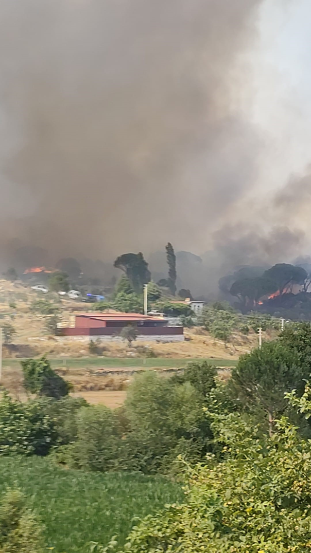 mugla alevlere teslim oldu 3 i 20051980 6542 1 m