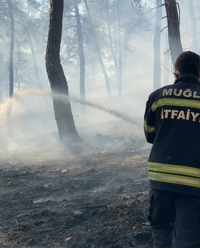 mugla alevlere teslim oldu 3 i 20051980 7330 1 m