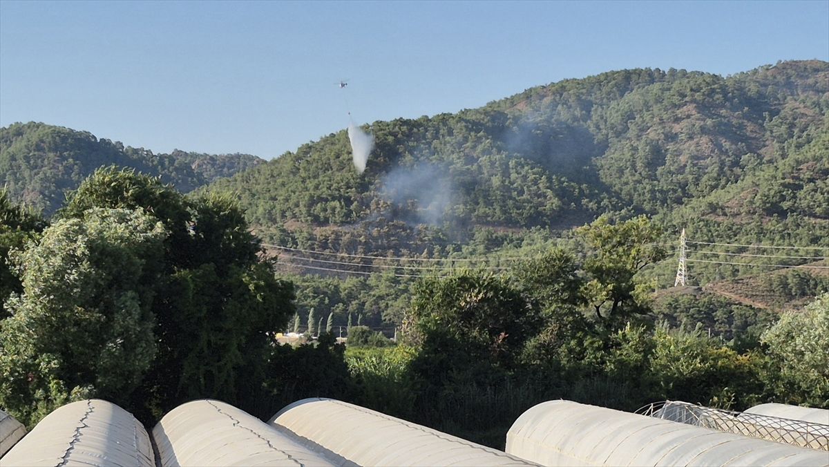Ortaca'da ormanlık alanda çıkan yangın kontrol altına alındı