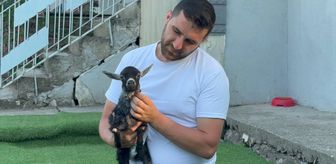 Pet shopa yem almaya giden çift, doğuştan yürüme engelli keçi yavrusunu sahiplendi