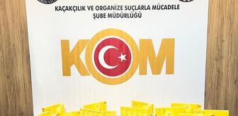 Samsun'da kaçakçılık operasyonunda 1 şüpheli yakalandı