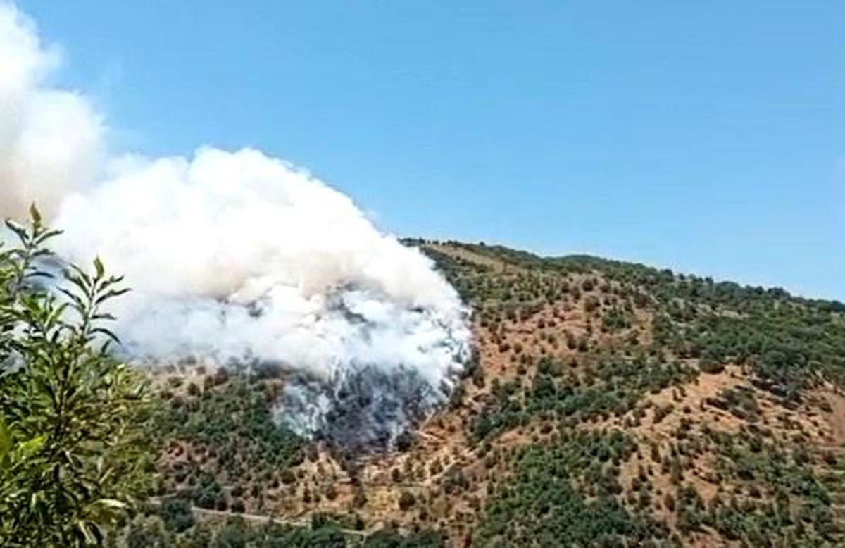 Sultanhisar'da makilik ve orman yangını