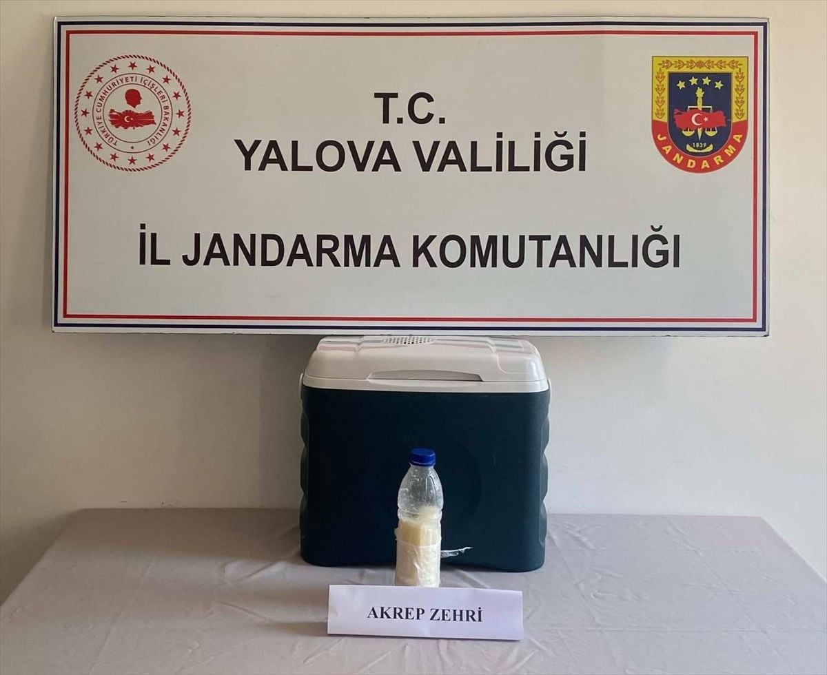 Yalova'da 500 gram akrep zehri ele geçirildi