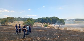 Balıkesir'de tarım arazilerinde çıkan yangın söndürüldü