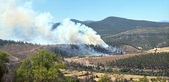 Bursa'da çıkan orman yangınına müdahale ediliyor
