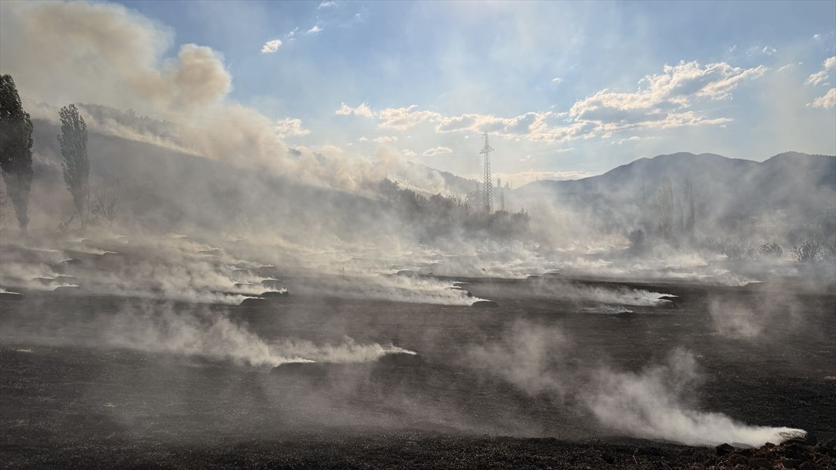 Çorum'da ormanlık alana sıçrayan yangına müdahale ediliyor