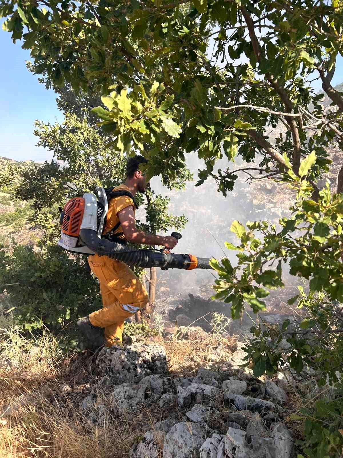 Diyarbakır'da 15 dönüme yakın ormanlık alan yandı