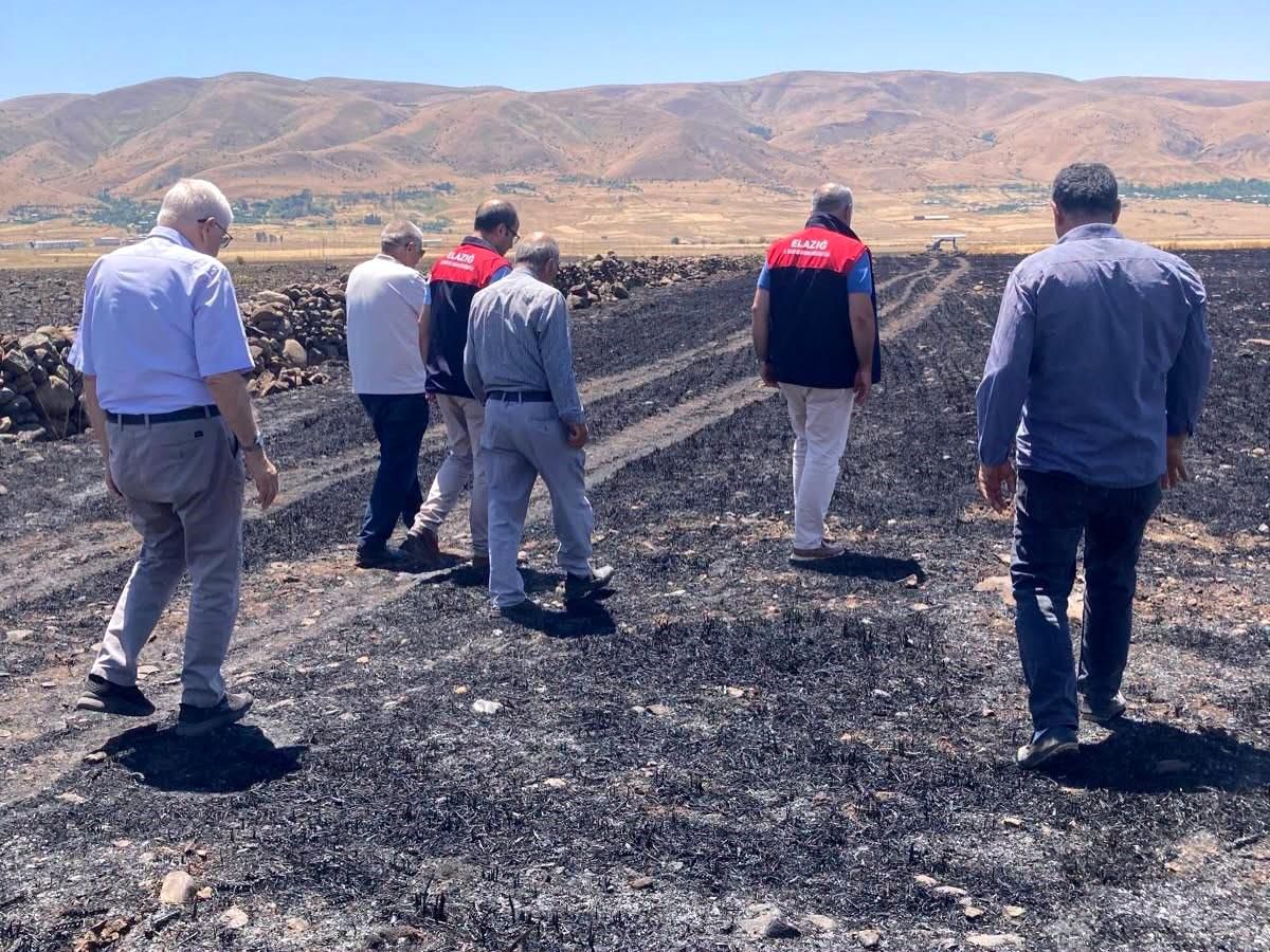 Elazığ'da yangının etkilediği tarım arazisi görüntüsü.