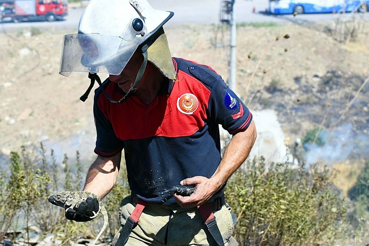 İzmir'de otluk alanda çıkan yangın, ormana sıçradı