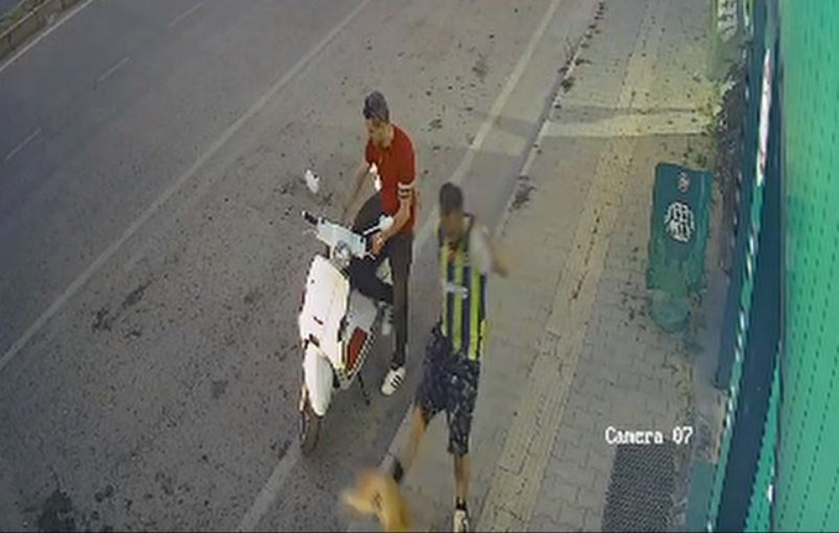 Kediye şiddet kamerada
