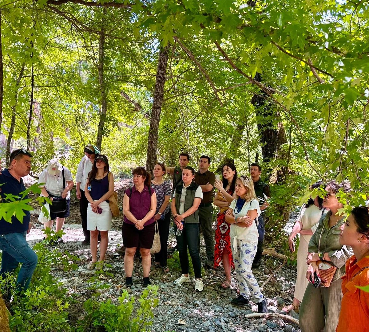 Marmaris'te sığla yağı üretiminin canlandırılması için uygulamalı eğitim verildi