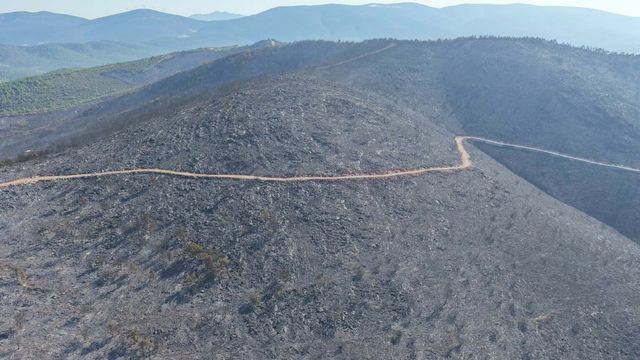 Scorched forest area viewed from drone in Milas