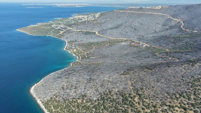 Drone shot of fire-affected area in Milas