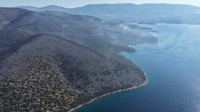 Drone image of burned forest area in Milas
