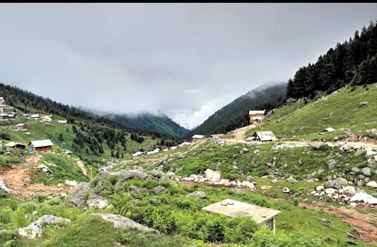 Rize'nin Çamlıhemşin ilçesindeki Hamlakit Yaylası'nda kaybolan iki Rus turist, Jandarma Arama Kurtarma ekipleri tarafından kurtarıldı.