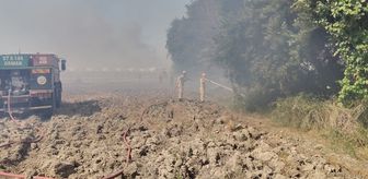 Serik'te çıkan anız yangını söndürüldü