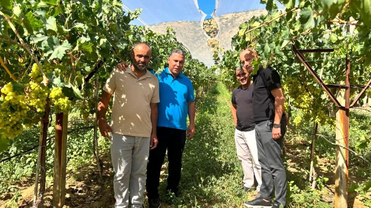 Manisa İl Tarım ve Orman Müdürü Mehmet Karayılan, Sarıgöl'de bir üzüm bağını ziyaret ediyor.