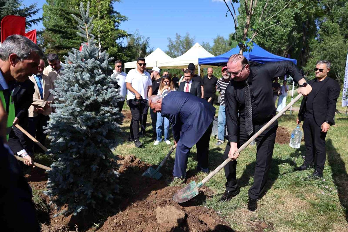 Direnişten Dirilişe: 10. Yılda 10 Yetişkin Ağaç Toprakla Buluştu
