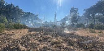 Antalya'da çıkan orman yangınında 3 dönüm alan zarar gördü