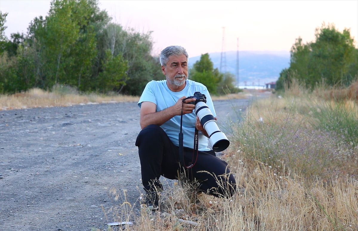 Bingöllü öğretmen 5 yıllık çalışmayla kentin kuş zenginliğini fotoğrafladı