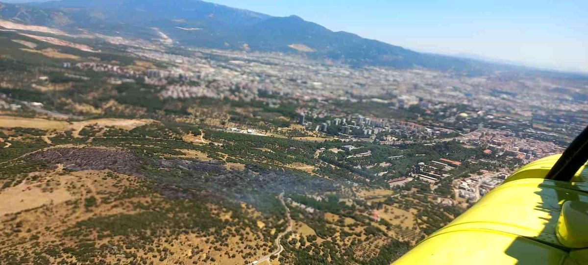 İzmir Bornova'da orman yangını söndürme çalışmaları
