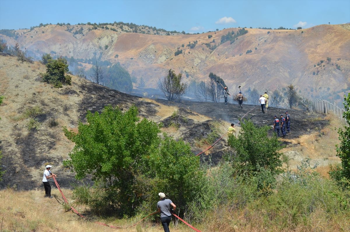 Çorum'da ormanlık alanda çıkan yangında yaklaşık 60 ardıç ağacı zarar gördü