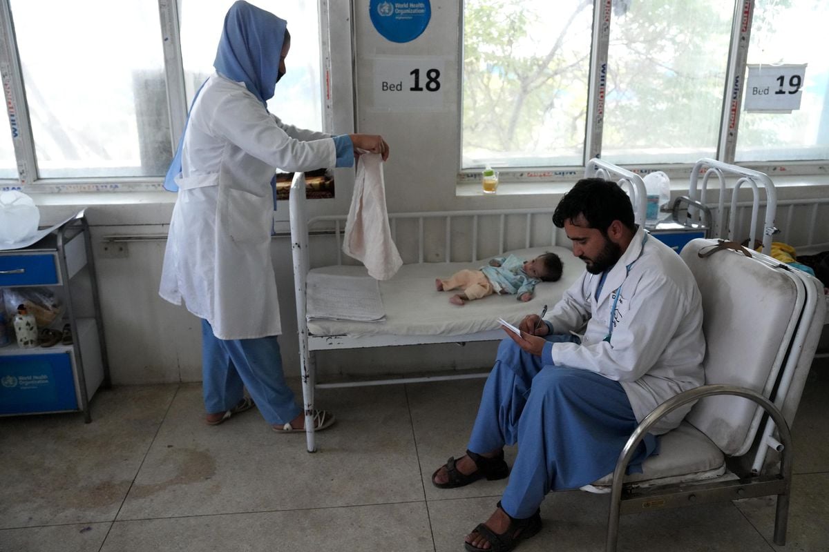 Dünya Gıda Programı: Afganistan'a 1.600 Tondan Fazla Gıda Malzemesi Ulaştı