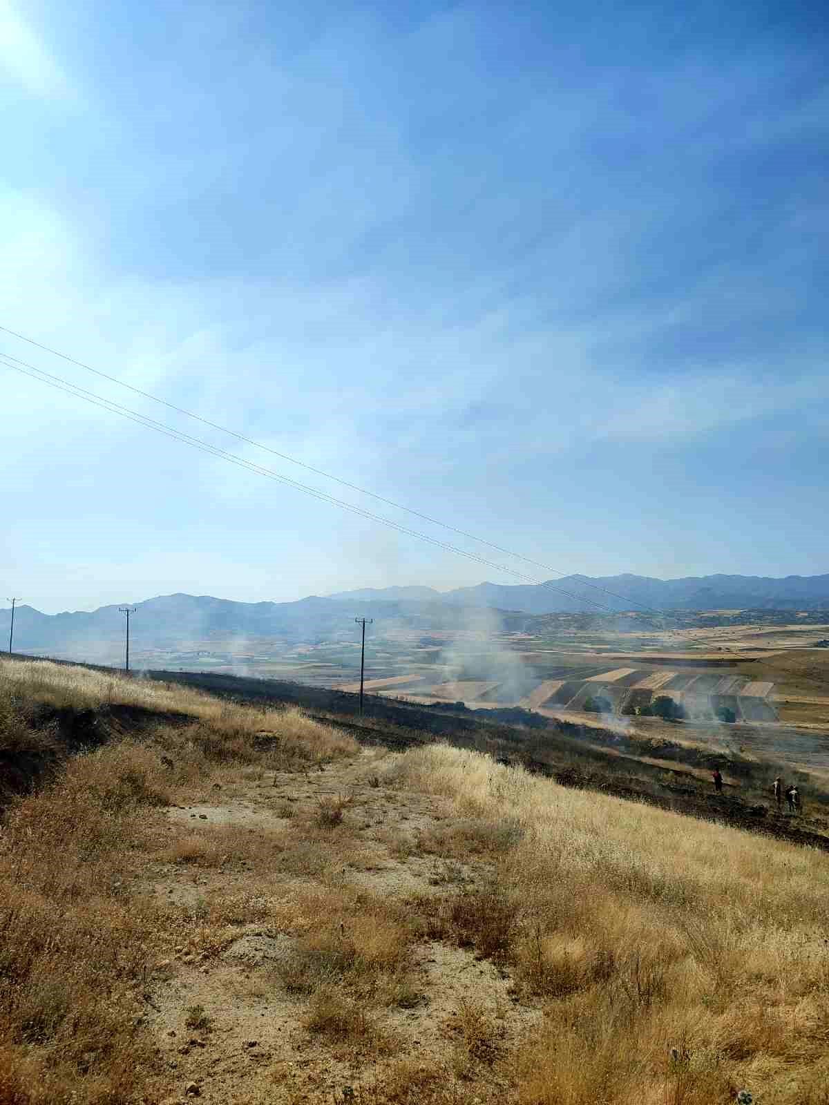 Elazığ'daki yangında 40 dönümlük arpa küle döndü