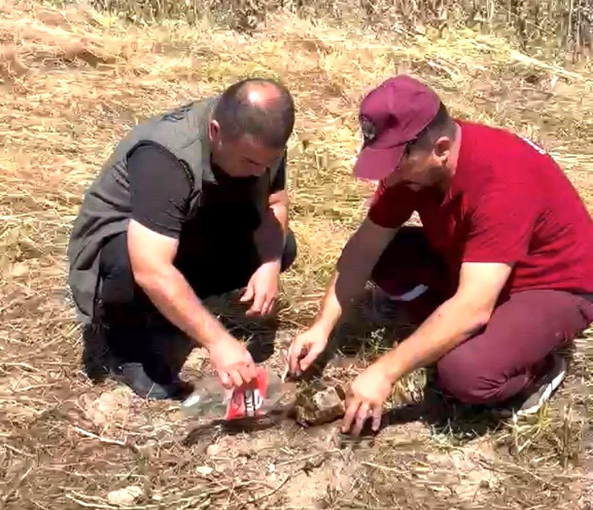 Kütahya'da ot yangınında alevlerin arasından kurtarılan kaplumbağa.