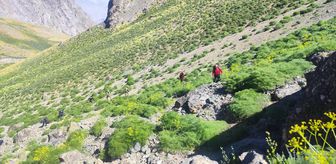 Hakkari'de haber alınamayan dağcı için arama çalışması sürüyor