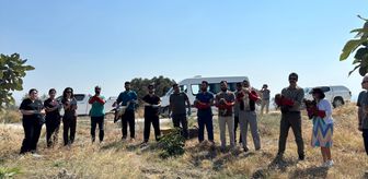 Hatay'da yaralı ve bitkin bulunan 18 kuş tedavilerinin ardından doğaya salındı