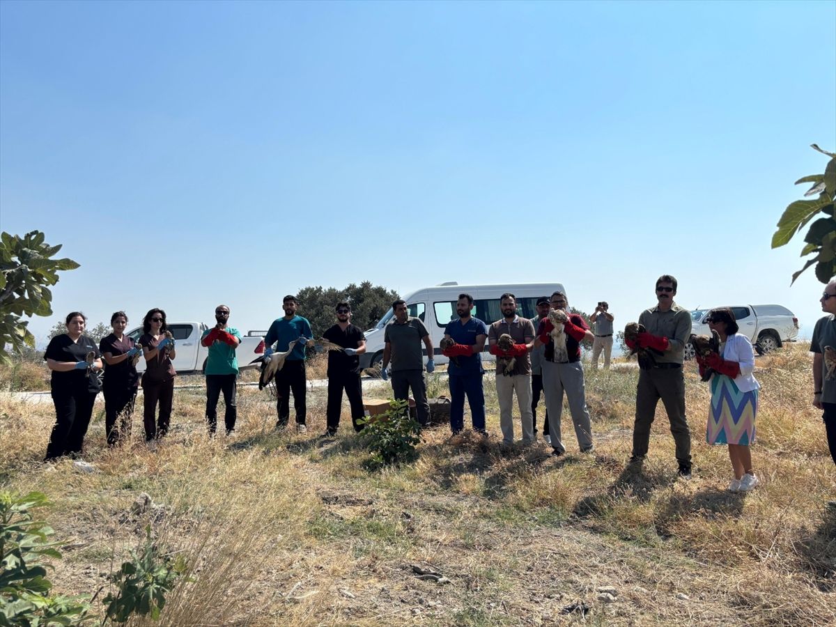 Hatay'da yaralı ve bitkin bulunan 18 kuş tedavilerinin ardından doğaya salındı