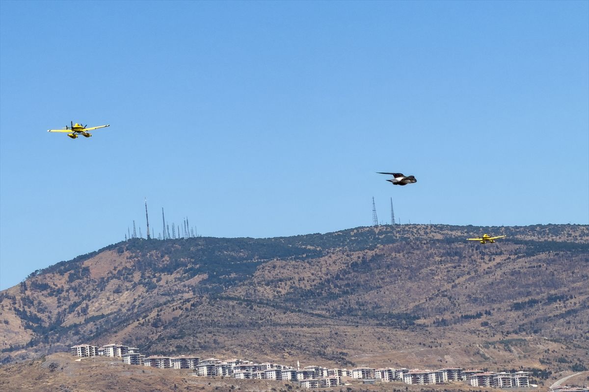 İzmir'de orman yangınına müdahale ediliyor
