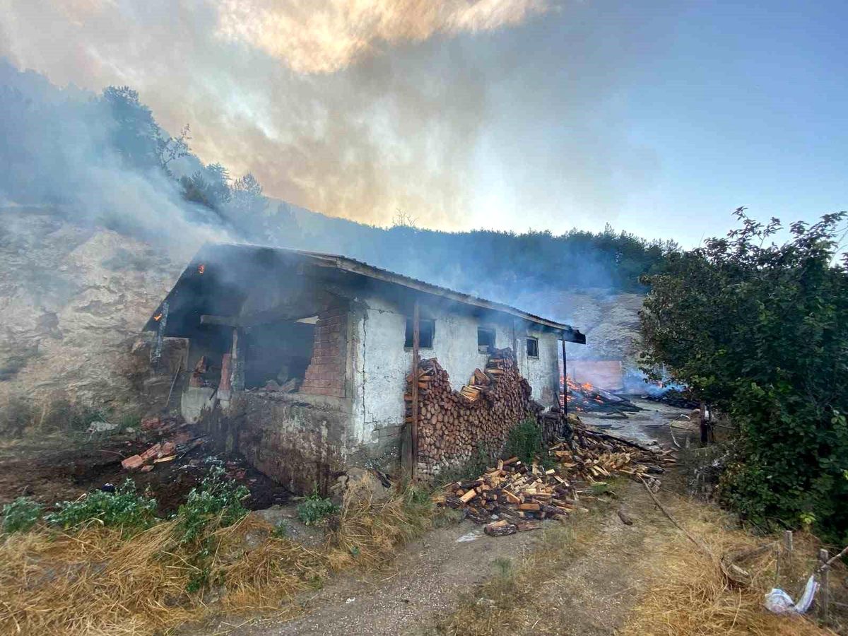Kastamonu'da evde çıkan yangın ormana sıçradı