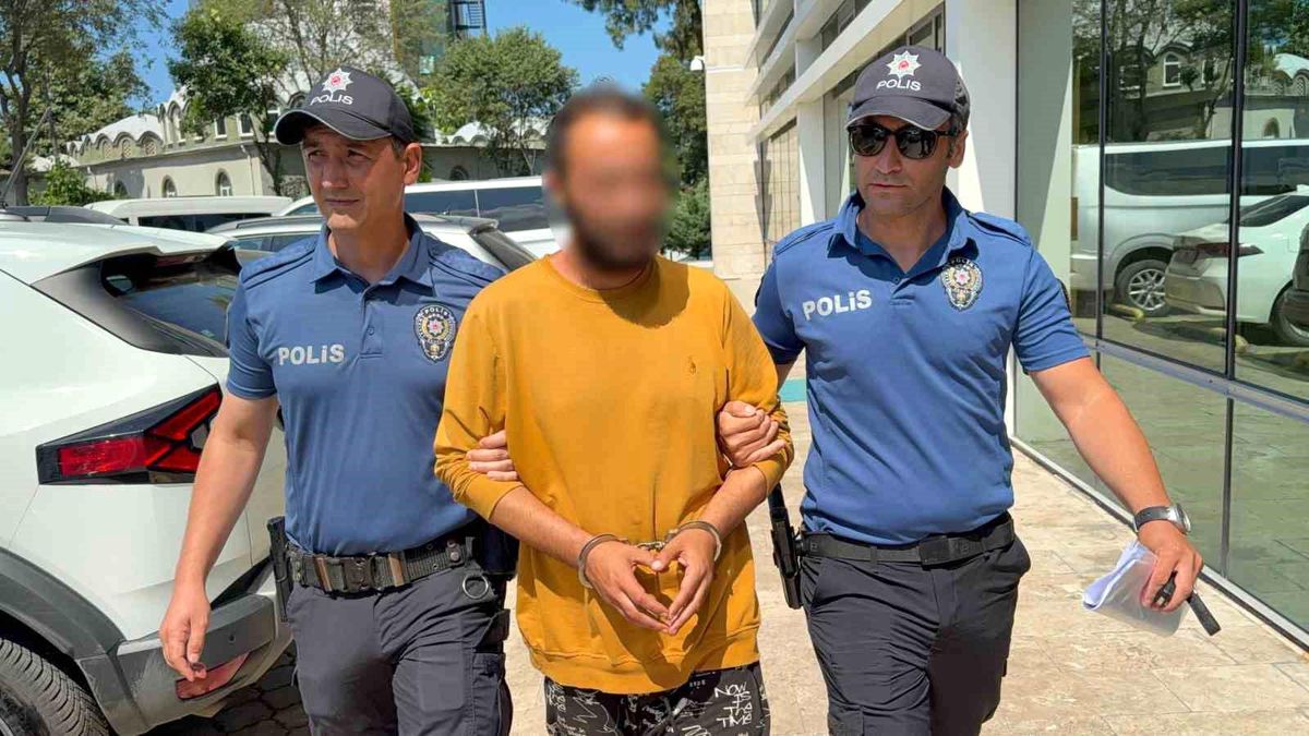 Kediye tekme atan şahıs tutuklandı: 'Sinirliydim, pişmanım'