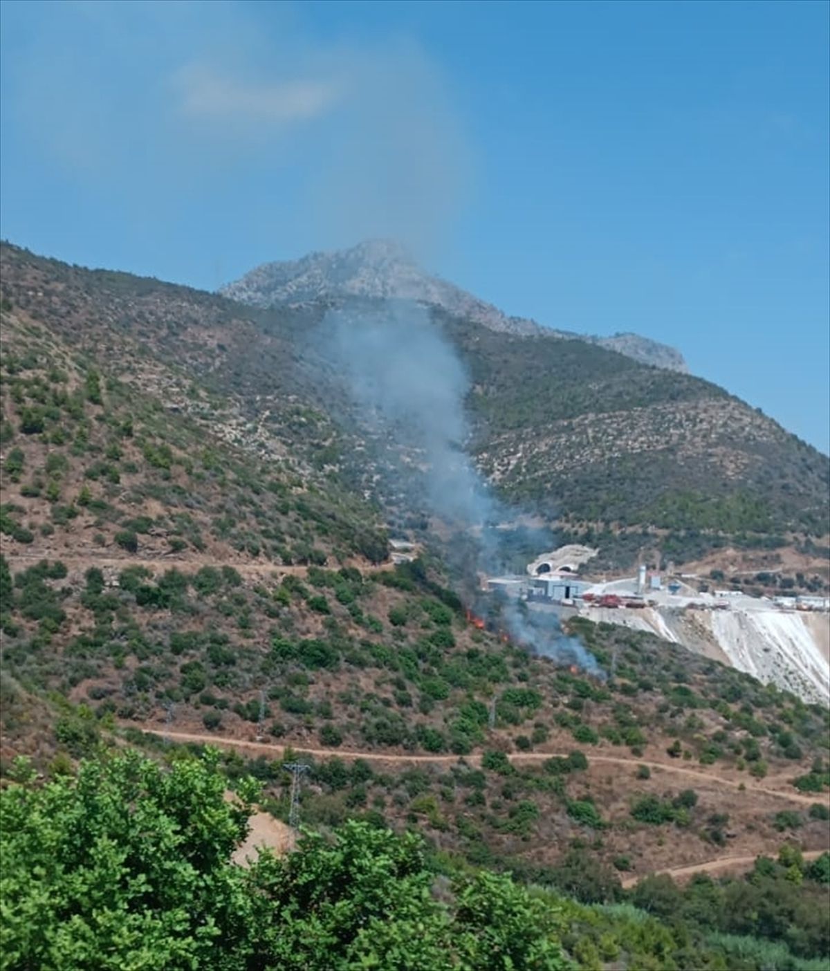 Mersin'de makilik alanda çıkan yangın söndürüldü