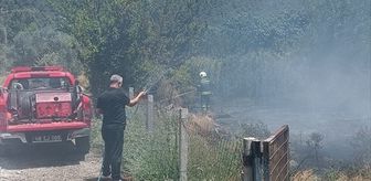 Muğla'da arazide çıkan yangın söndürüldü