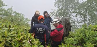 Rize'de yaylada kaybolan 3 yabancı uyruklu kişi kurtarıldı