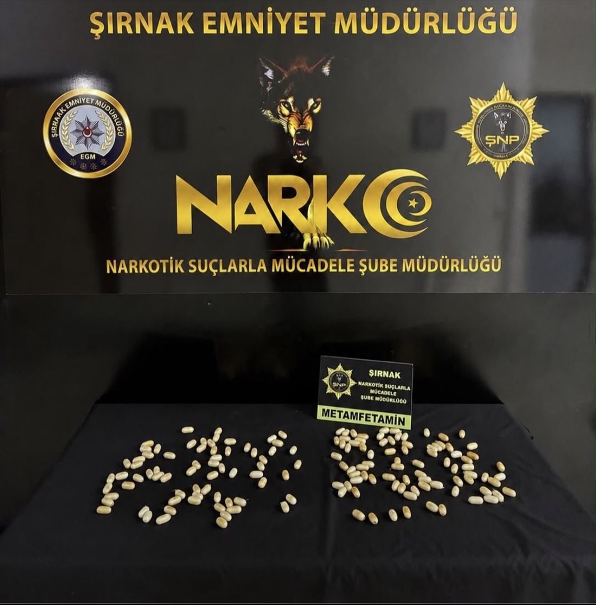 Şırnak'ta mide ve bağırsaklarında uyuşturucu bulunan İran uyruklu 2 zanlı tutuklandı