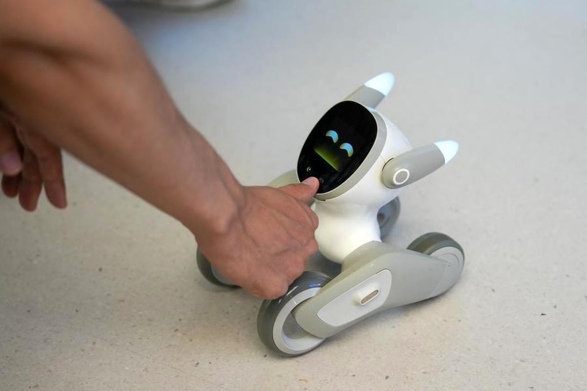 Chengdu kentinde açılan yeni yapay zeka ve robotik merkezi