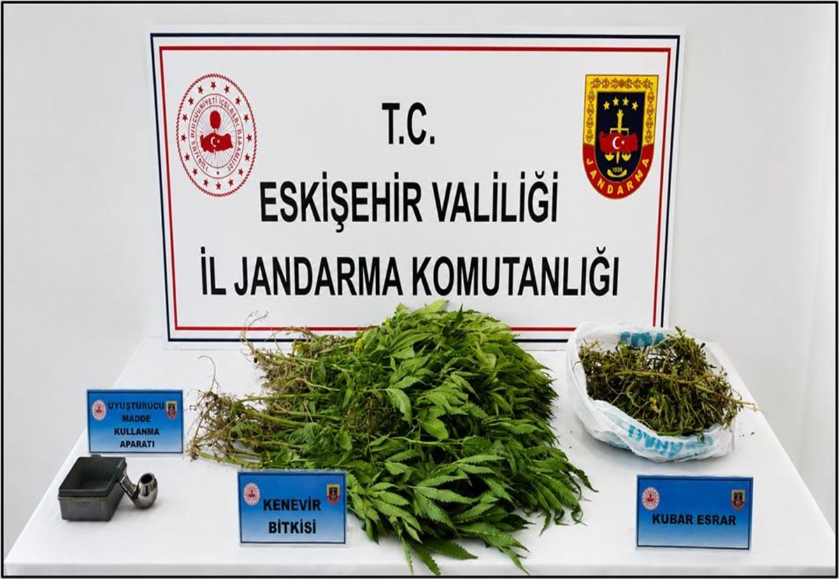 Sivrihisar'da uyuşturucu operasyonunda ele geçirilen esrar ve hint kenevirleri.