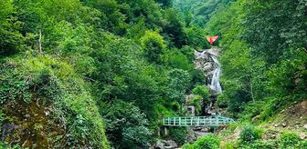 Giresun'da kaybolan 96 yaşındaki kişiyi arama çalışmaları sürüyor