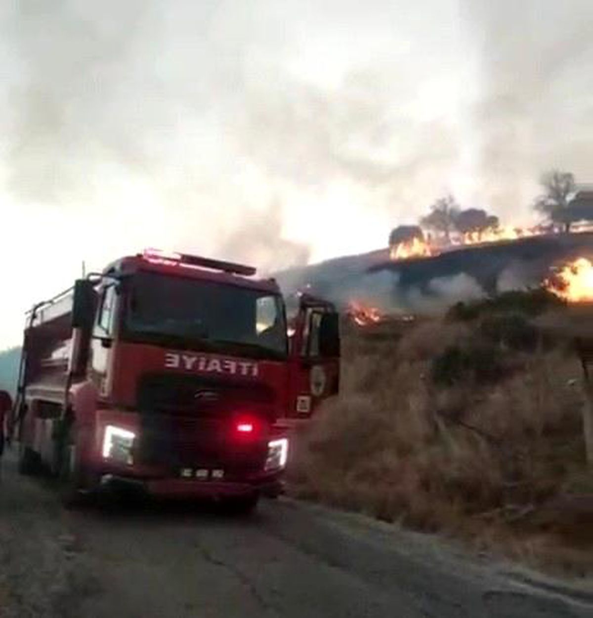 Kahta'da anız yangını köye kadar ulaştı