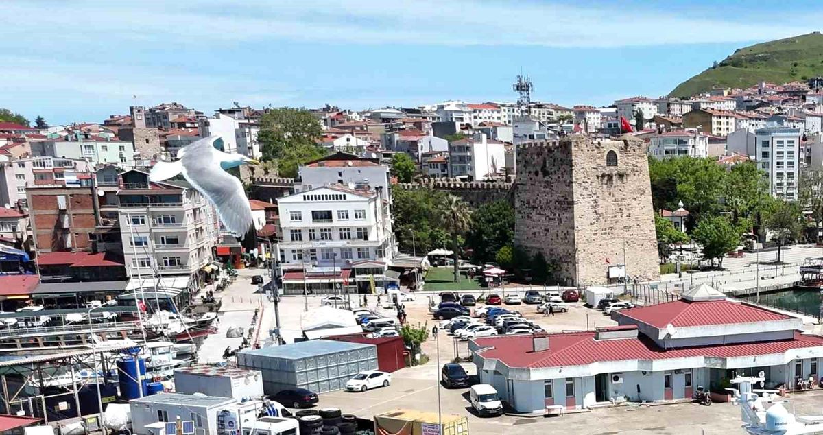 Sinop'ta trafiğe kayıtlı araç sayısını gösteren grafik veya tablo.