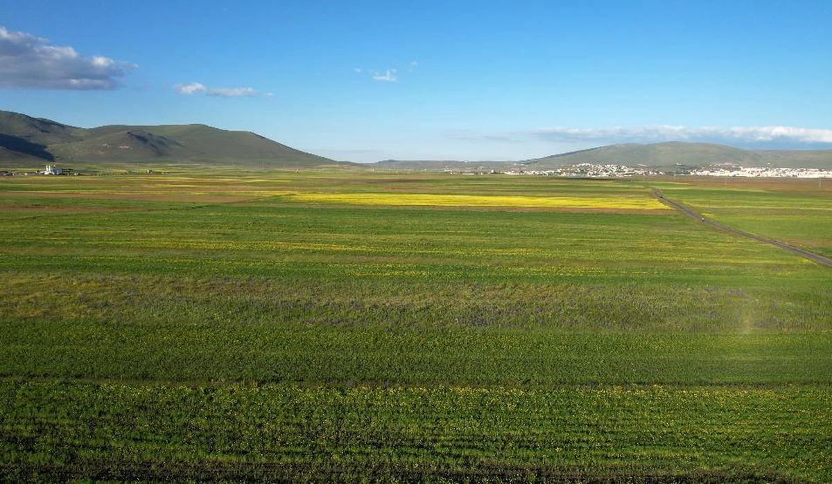Yazın renk cümbüşüne bürünen Ardahan ovası havadan görüntülendi