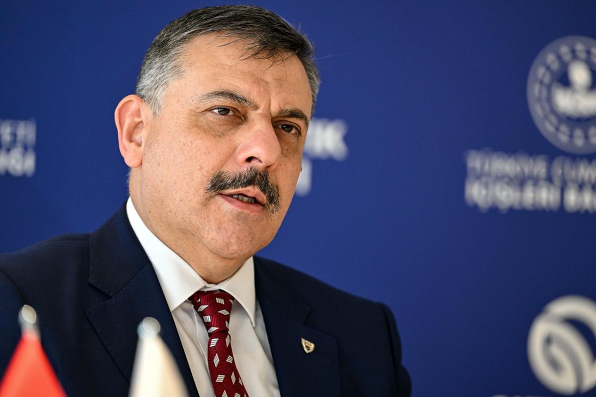 Bakan Çiftçi: Sokak hayvanlarının yüzde 92,35'i barınaklarda